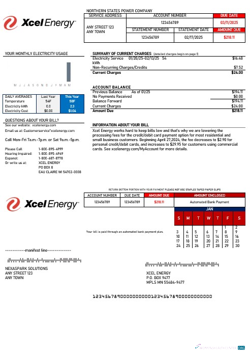 Download USA Xcel Energy business utility bill Word and PDF template Photoshop template